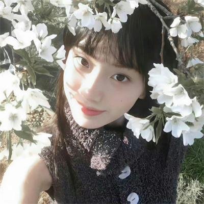 高校功夫女神 海报