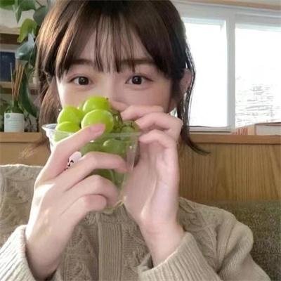 初试羽翼 海报
