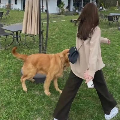 斑马人2:斑马城的逆袭 海报