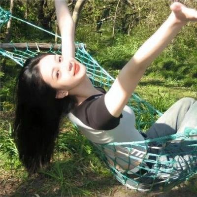 双生赤狐 海报